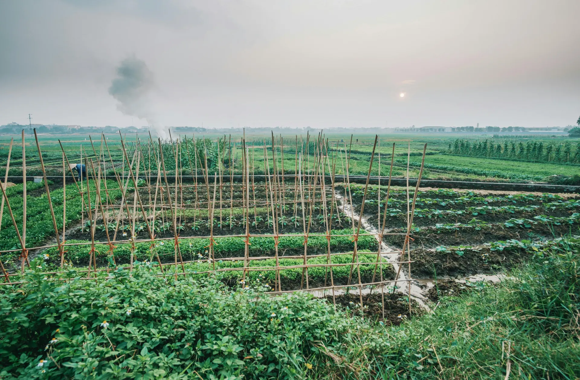 Urban Farms