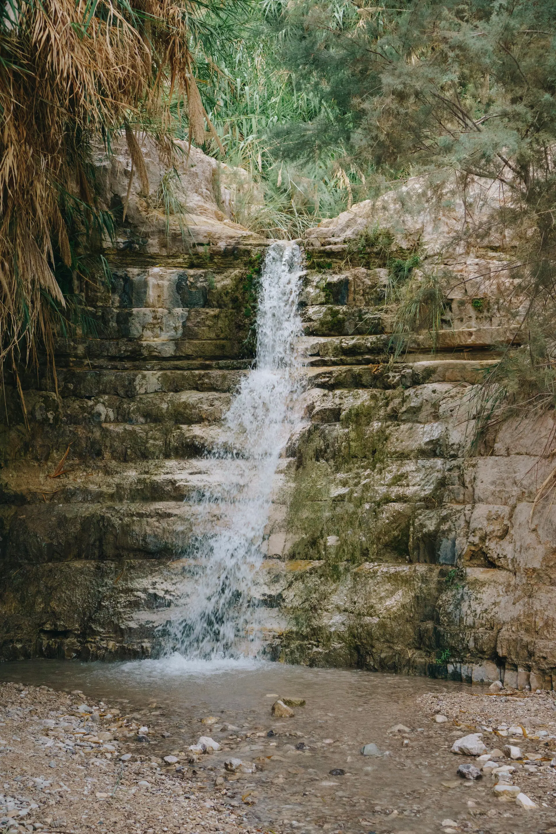 Botanic Areas & Nature Reserves