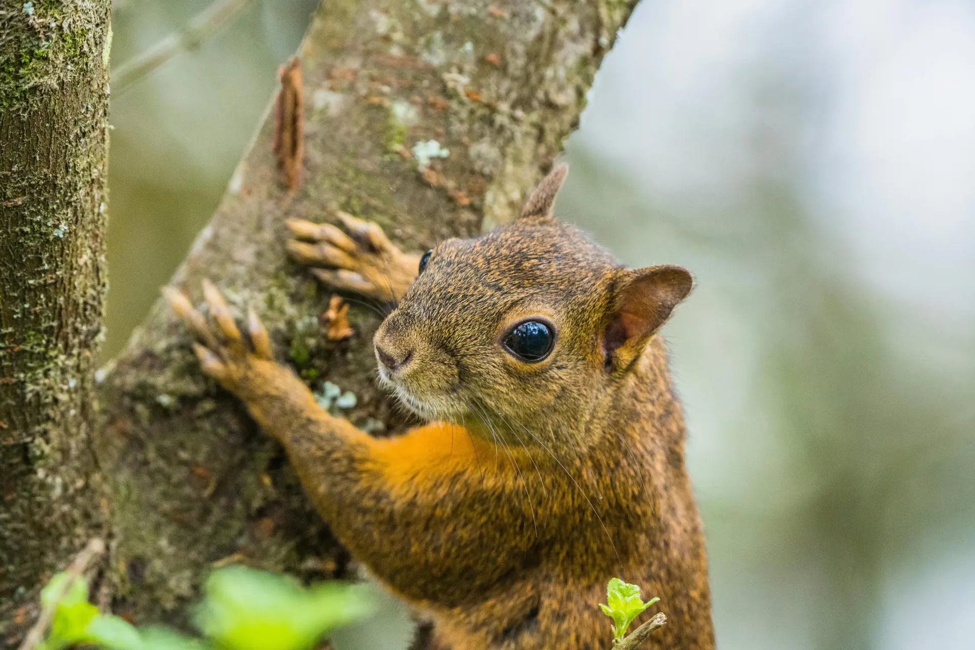 Hunting & Wildlife Areas
